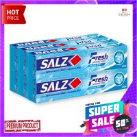 ซอลส์ ยาสีฟัน สูตรเฟรช แจเปนนิส มิ้นท์ ขนาด 90 กรัม แพ็ค 6 กล่องSalz Fresh Toothpaste 90 g x 6