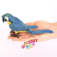 Monkey Toys - โมเดลสัตว์ Parrot นกแก้ว ฟ้าเหลือง ขนาด 17.00 CM (จากหาดใหญ่)