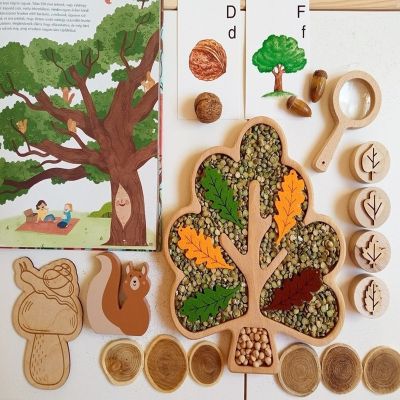 Montessori Sensory Tray Childrens Natural Science Enlightenment Education Sensory Basin Parent-child Game Tray Play House Toys