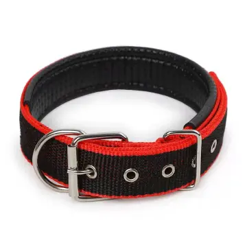 Foam dog hot sale collar