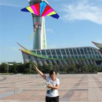 【cw】Colorful Delta Kite with Tail Huge Triangle Kite Single for Family Trips Activities Kids s 【hot】