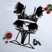 2023 Korean Feathers Sex Underwear Luxury French Lingerie Sets Garter Belt For Women Lace Transparent Thong And Bra Erotic Package