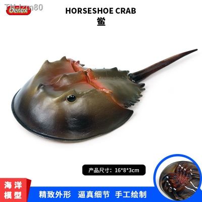 🎁 ของขวัญ Simulation model of Marine animals biological children toys the horseshoe crabs crab America horse-shoe animal furnishing articles