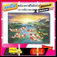 [ สินค้าเกรดพรีเมี่ยม คุณภาพดี ] กรอบลอย ภาพปลาคราฟในบึงบัวท้องฟ้าสีทอง 16x20 (40.6 x 50.8cm)เสริมฮวงจุ้ย เสริมดวง กรอบลอยไม้แท้ กรอบรูปมงคล [ ด่วน ไม่ลองถือว่าพลาดมาก!! ]