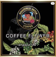 Coffee Blossom ชาดอกกาแฟ - 50g.