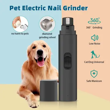 Buy THE DDS STORE Dog Cat Nails Clippers - Dog Claw Clippers for Large to  Small Breeds with Free Nail File, Professional Cat Nail Clippers with  Safety Guard to Avoid Over-Cutting, Suitable