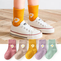 5pairslot Baby Socks Children Boys Girl Autumn Winter Warm Sock Ribbed Solid Color Clothes Accessories for 0-9 Years Child Fall