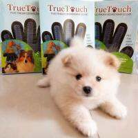 True Touch ถุงมือกำจัดขนสัตว์เลี้ยง ถุงมือแปลงขนสัตว์เลี้ยง 1 ชิ้น ใช้ได้ทุกขนาดและทุกสายสายพันธุ์