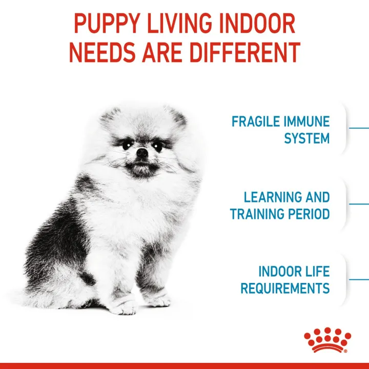 หมดอายุ4-24-royal-canin-mini-indoor-puppy-1-5-kg-อาหารสำหรับลูกสุนัขเลี้ยงในบ้าน-ลดกลิ่นอึ-กลิ่นฉี่