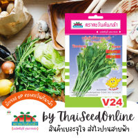 ADVOP ซฟ เมล็ดพันธุ์ กวางตุ้งดอก ป๊อปอาย ตราตะวันต้นกล้า V24