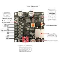 DY-HV20T Voice Playback Module 12V/24V Power Supply 10W/20W Amplifier Support Micro-SD Card MP3 Music Player for Arduino