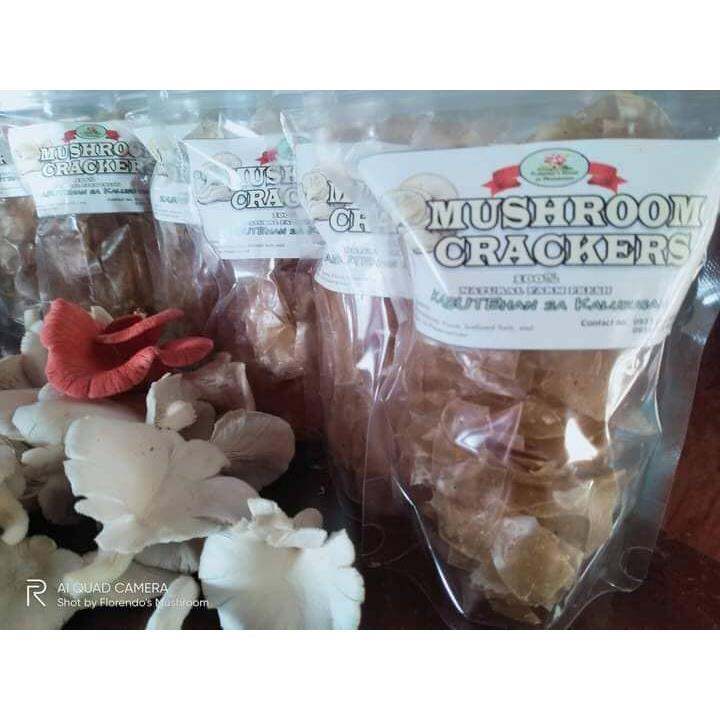Mushroom Crackers (oyster) 90grams Lazada PH