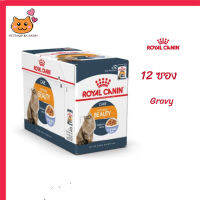 ?ส่งฟรี ส่งด่วนๆๆๆ[ยกกล่อง 12 ซอง] Royal Canin Intense Beauty Pouch Jelly อาหารเปียกแมวโต ดูแลผิวหนังและเส้นขน อายุ 12 เดือนขึ้นไป จัดส่งฟรี ✨