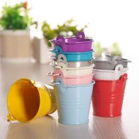 Mini Metal Bucket Tin Candy Gift Box Buckets Wedding Party Souvenirs Gift Pails Tinplate Chocolate Dragee Box Candy Bar Decor Storage Boxes