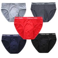 Man Panties Boy Undies Underwear Big Size Breathable Briefs Shorts Modal Knickers Bamboo Fiber Underpants Homme Trunks L-5XL