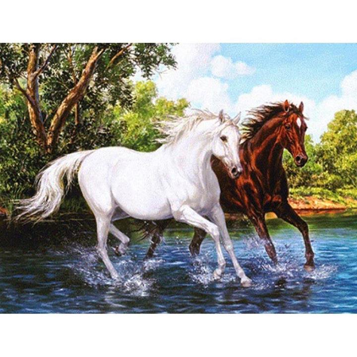 5D DIY Diamond Painting Animal Horse Cross Stitch Kit Full Drill Square  Embroidery Mosaic Art Picture of Rhinestones Decor Gift