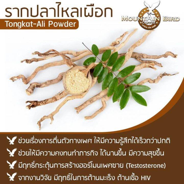 sv289-กาแฟเมาท์เท่นเบิร์ด-ขนาด-12-กล่อง-กาแฟเพื่อสุขภาพ-เมาท์เท่น-เบิร์ด-คอฟฟี่-กาแฟท่านชาย-กาแฟสำเร็จรูปชนิดผง-ผสมเก๋ากี้ผง-กระชายดำผง