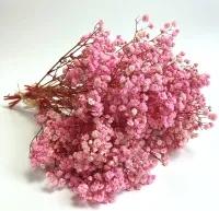 Long-lasting Light Pink Babys Breath Dried Flowers - Perfect for Weddings, Home Decor, and Holiday Crafting,luxury home decorlu