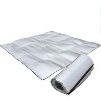 【cw】 Double-sided Aluminum Film Picnic Mat Foldable Sleeping Mattress Mat Pad Waterproof Aluminum FoilOutdoor Picnic