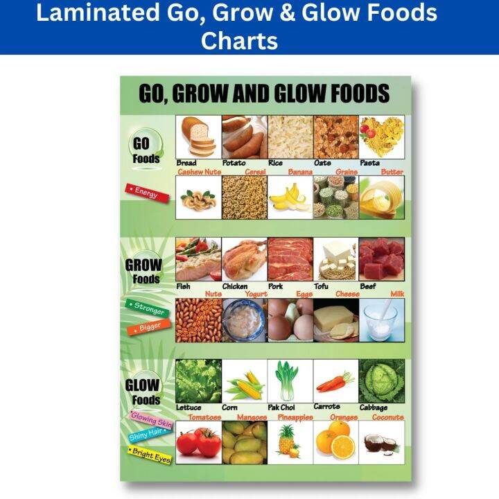 GO, GROW, GLOW FOODS CHART, Laminated Go, Grow & Glow Foods Chart for Kids, Learners and
