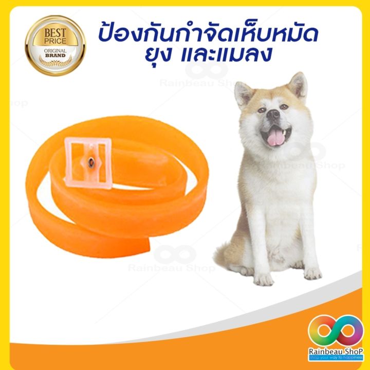 rainbeau-ปลอกคอกันเห็บ-หมัด-dooda-flea-amp-tick-collar-pro-ป้องกันกำจัดเห็บหมัด-ยุง-ด้วยสารสกัดจากธรรมชาติ-เหมาะสำหรับหมา-แมว-60-cm