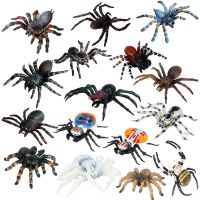 จำลองสัตว์แมลง Solid รุ่น Tarantula แมงมุมสีดำฮาโลวีน Tricky Prank น่ากลัวตลก Action Figures ของเล่นเพื่อการศึกษา