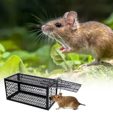 Household Large Mouse Trap Automatic Continuous Mousetrap Reusable Catch  High Effect Rat Traps Catcher Killer Mice Rodent Cage - Buy Household Large  Mouse Trap Automatic Continuous Mousetrap Reusable Catch High Effect Rat
