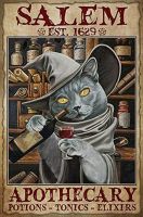 Salem Apothecary Potions Cat Halloween Tin Signs, Witch Drink Miller Beer, Perfect For Bar, Den, Man Cave, Unique Wall Decor