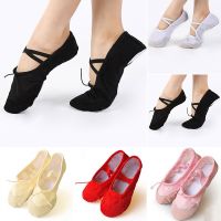 COD SDGREYRTYT Canvas Girl Women Adult Ballet Dance Shoes Slippers Pointed Gymnastics Shoes