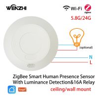 ZigBee/Wifi MmWave Radar Human Presence Motion Sensor Light Switch Luminosity Detection 110/220V Tuya Smart Life Home Automation