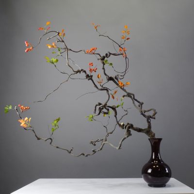 Natural Dried Curved Branches Table Floral Decoration
