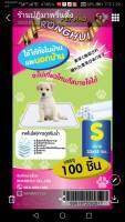 แผ่นรองฉี่ อนามัยสำหรับสัตว์ pet Size S 33*45 cm 100 แผ่น