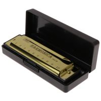 10 Holes Of C Blues Harmonica Musical Instrument Educational With And Light-weight Joyful Music