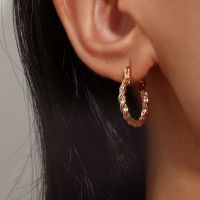 [COD] Metal Braided Twist Earrings European and Personality High-end Fashion