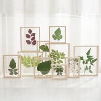 ◘♈▣ Plant Specimens Frame Wood Picture Frames Creative Double-sided Transparent DIY Flowers Dried Leaf Display Desktop Ornaments