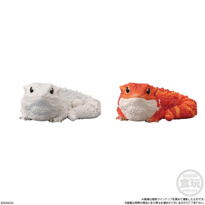 แยก-bearded-dragon-lizard-bandai-tenori-friends-8-โมเดลสัตว์-กิ้งก่า-กิ้งก่ามังกรเครา-เบียร์ดดราก้อน