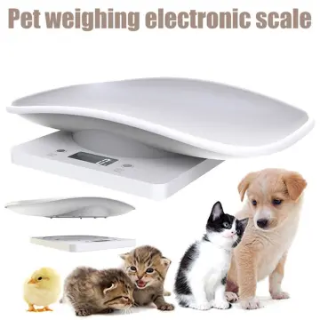 Digital Pet Dog Weight Scale Cat Puppy Weight Scale Portable Small Animal  Vet US