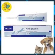 Gel Dinh Dưỡng Chó Mèo Bệnh Biếng Ăn Gầy Gọc - PET UNIVERSE
