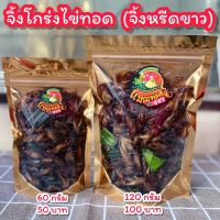 จิ้งโกร่งไข่ทอด(จิ้งหรีดขาว)แมลงทอดซู่ซ่า ทอดตามออเดอร์ สดใหม่ ทุกวัน