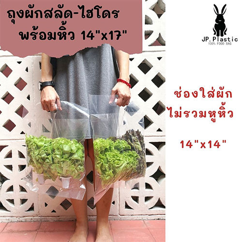 ถุงผักสลัด-salad-ถุงผัก-1-กก-ผักสลัดไฮโดร-ถุงพร้อมหิ้ว-ใช้คู่กับเครื่องซีล-ถุงพีอี-ll-ถุงใส-แช่แข็งได้-pe-เหนียว-นุ่ม