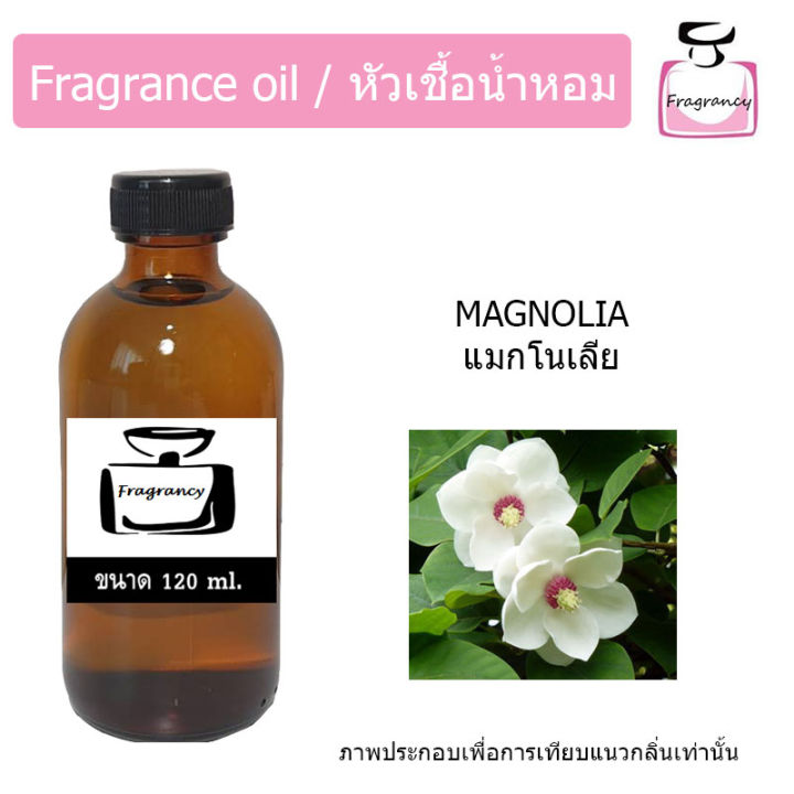 หัวน้ำหอม-กลิ่น-ดอกแมกโนเลีย-magnolia