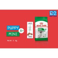 นาทีทอง ส่งฟรี Royal Canin Mini Adult 8+ Senior Dog Food อาหารสุนัข สูงอายุ 8 ปีขึ้นไป ขนาด 2 กก.