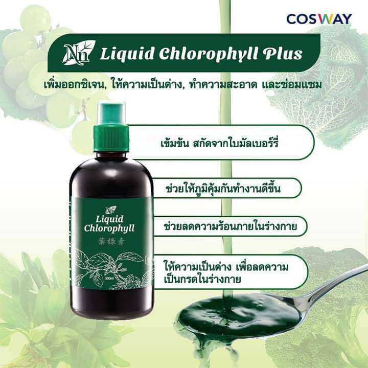 Liquid Chlorophyll Plus คลอโรฟิลล์ พลัส ชนิดน้ำ 500 มล ของแท้100