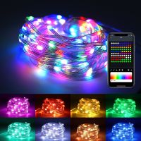 {Best-selling party decoration} สมาร์ท APP ไฟ LED เชือกกันน้ำ DIY USB นางฟ้าแสงพวงมาลัยสำหรับ N Avidad แต่งงานตกแต่งคริสต์มาสแสงวันหยุด