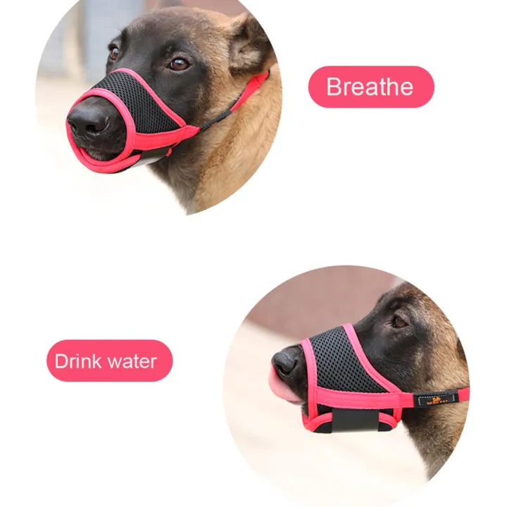 can you use a muzzle to keep a dog from barking