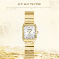 HotWomen Deluxe Business Quartz Watch Square Unique Dial Stainless Steel Wrist Watch For Ladies Gold celet Watch Clock