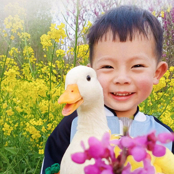 Online celebrity Mini Pets Little Yellow Duck Eggs Koerda Duck Children