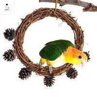 SWEET ELVES Conures กรง เป็นธรรมชาติ แขวน บด เคี้ยว Perch นกแก้วสวิง ตกแต่งกรวยไพน์ ของเล่นนก