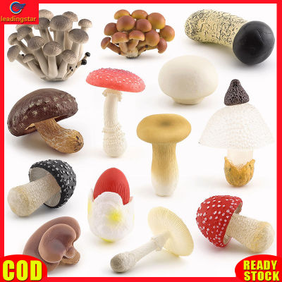 LeadingStar RC Authentic Simulation Vegetable Plant Figurines Realistic Mushroom Action Figure Children Cognitive Educational Toys