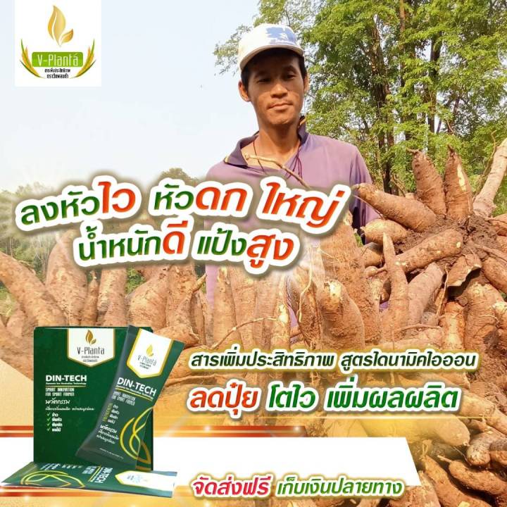 v-planta-วีแพลนท์ต้า-ของแท้-2-ซอง-ราคา-900-บาท-สารเสริมเพิ่มประสิทธิภาพทางการเกษตร-สูตรใหม่-ไดนามิคไอออน-1